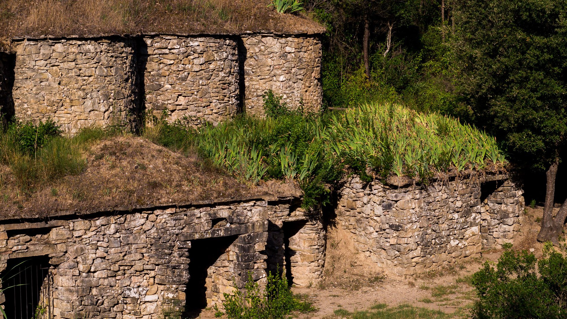 Tines del Flequer. @ G. Portabella