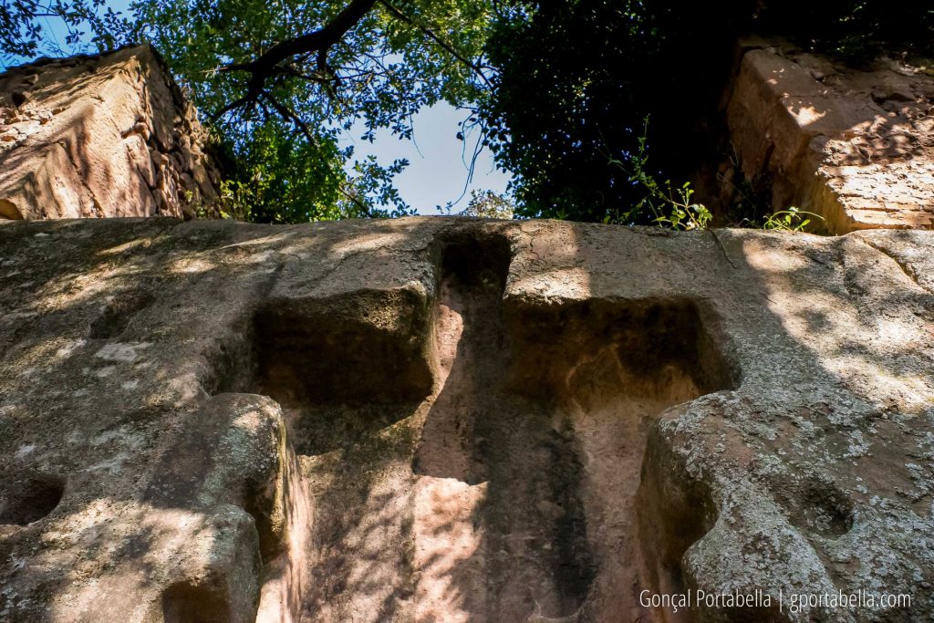 Tines Reixes, Castelladral Foto G.Portabella